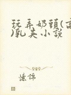 玩弄奶头(高h)乳夹小说封面