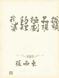 我的极品总裁老婆短剧视频