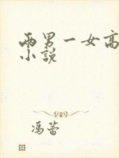 两男一女高h文小说