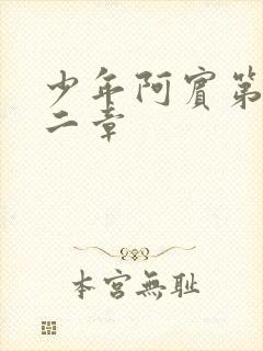 少年阿宾第四十二章