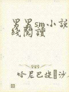 男男sm小说在线阅读封面