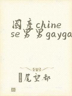 国产chinese男男gaygay在线播放网站