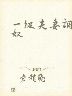 一级夫妻调教男奴