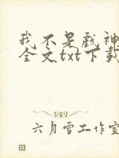 我不是戏神小说全文txt下载