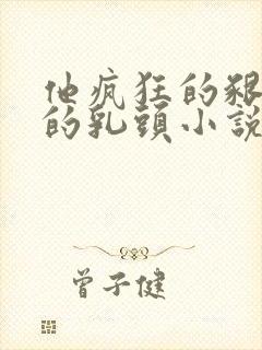 他疯狂的啃着她的乳头小说封面