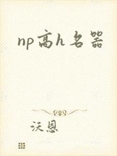 np高h名器