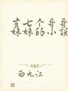 有七个哥哥一个妹妹的小说