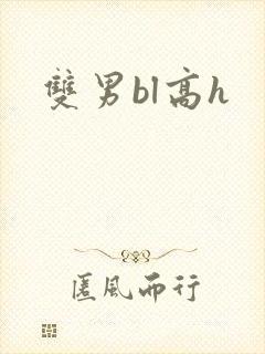 双男bl高h