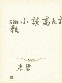 sm小说高h调教