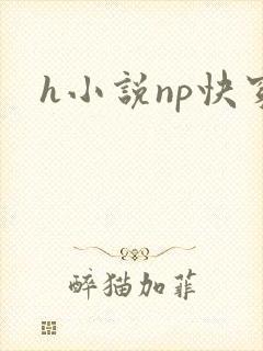 h小说np快穿封面