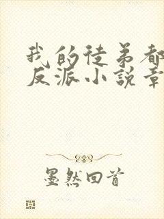 我的徒弟都是大反派小说章节目录