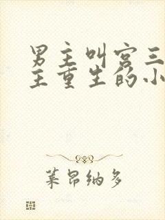 男主叫宫三爷女主重生的小说