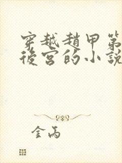 穿越赵甲第猎艳后宫的小说封面