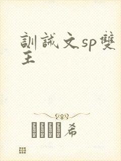 训诫文sp双男主