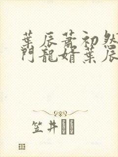 叶辰萧初然 上门龙婿叶辰大结局