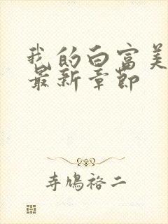 我的白富美老婆最新章节封面