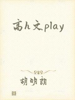 高h文play