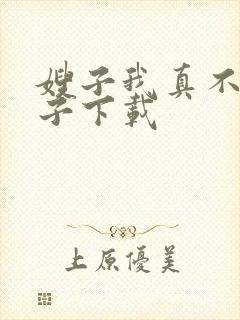 嫂子我真不是傻子下载