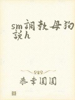 sm调教母狗小说h