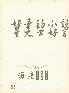 好看的小说高质量文笔好言情