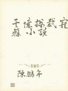 千亿总裁宠妻成瘾 小说