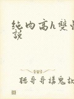 纯肉高h双性小说封面