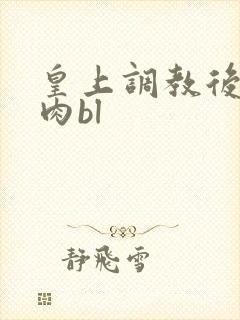 皇上调教后宫h肉bl封面