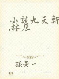 小说九天斩神诀,林辰