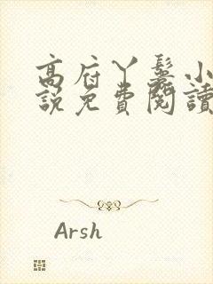 高府丫鬟小说小说免费阅读无弹窗