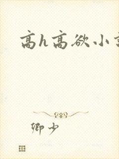 高h高欲小说封面