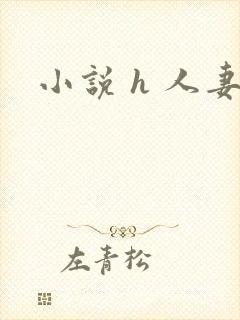 小说 h 人妻