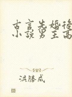 古言先婚后爱的小说男主高冷