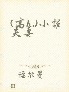 (高h,)小说夫妻