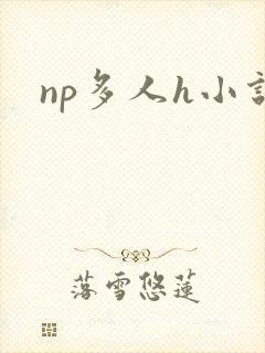 np多人h小说