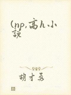 (np,高h小说