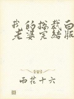 我的总裁白富美老婆完结版