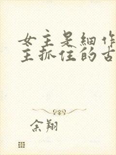 女主是细作被男主抓住的古言