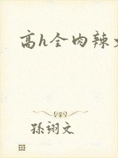 高h全肉辣文