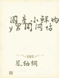 国产小鲜肉gay男同网站