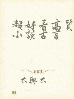 超好看高质量的小说古言