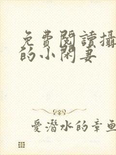 免费阅读摄政王的小闲妻封面