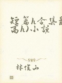 短篇h合集乱(高h)小说