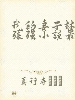 我的妻子林慧茹张强小说最新章节阅读