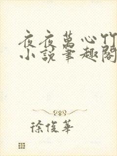 夜夜万心竹先生小说笔趣阁封面