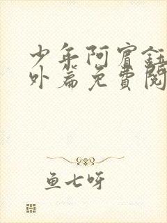 少年阿宾钰慧番外篇免费阅读