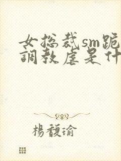 女总裁sm跪爬调教虐是什么