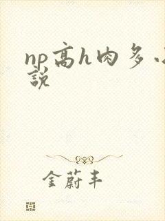 np高h肉多小说封面
