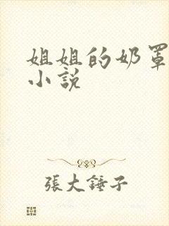 姐姐的奶罩都市小说