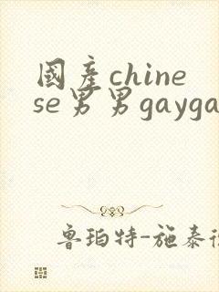 国产chinese男男gaygay网址搜索