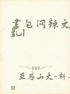 书包网辣文高h乱l